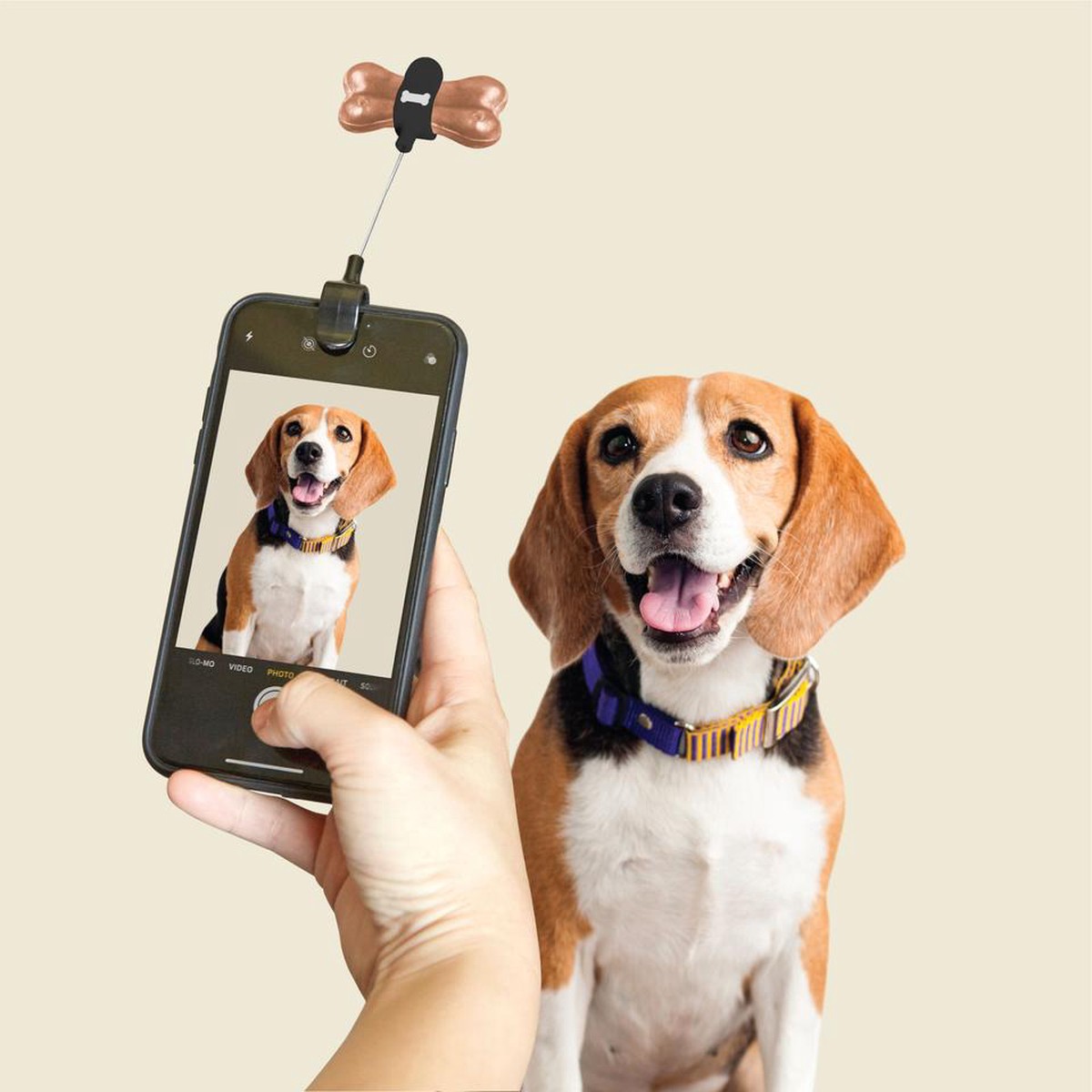 Kikkerland – Dog Treat Selfie Clip
