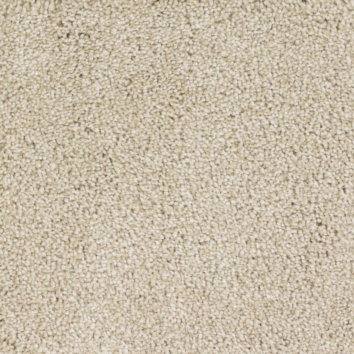 STAINMASTER Signature Briar Patch Bamboo Textured Indoor Carpet, 12-ft Roll Width