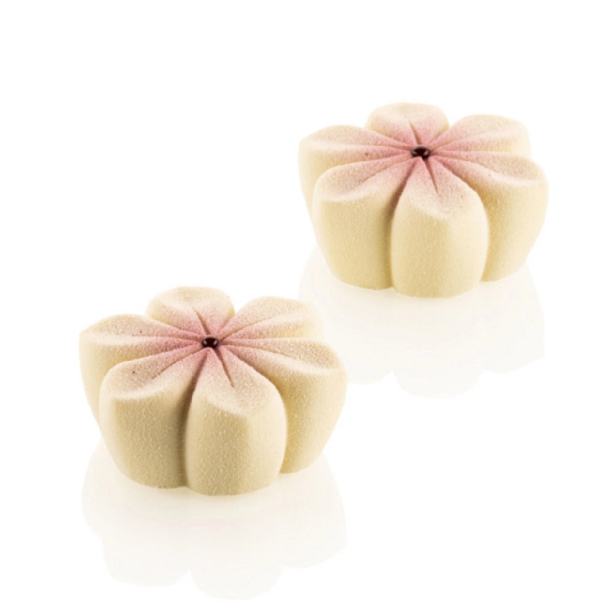 JB Prince MA409 13 Inch Tart Mold HANA 87 Silicone Mold 87ml – 6 Packs