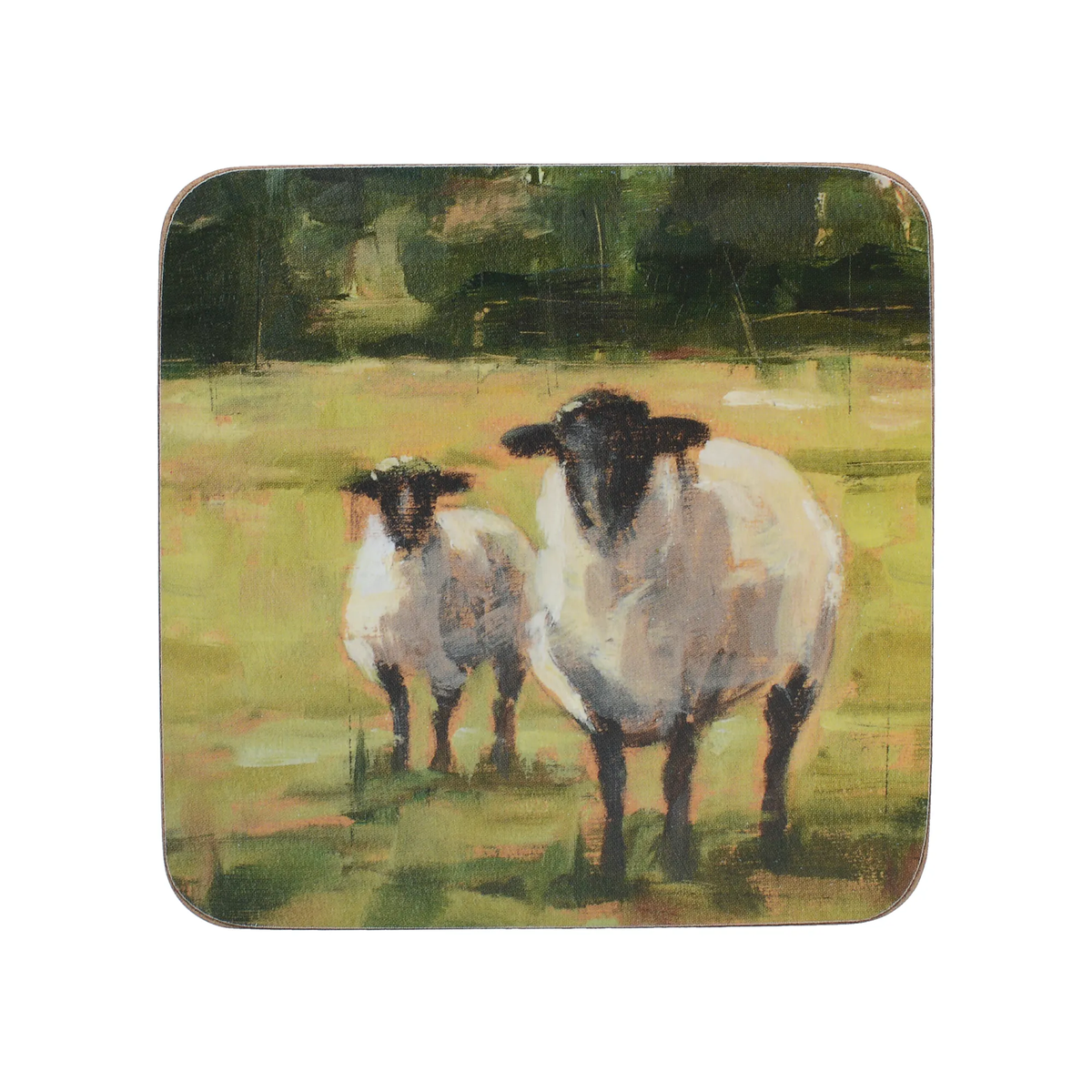 Creative Tops Sheep Family Pack Of 6 Premium Coasters