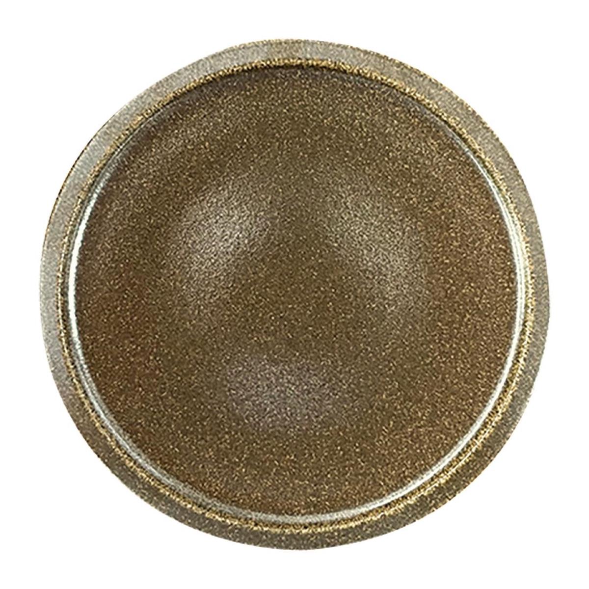 Rakstone Ease Flat Coupe Plates Rust 210mm (12 Pack) (Pack of 12) PAS-FW226