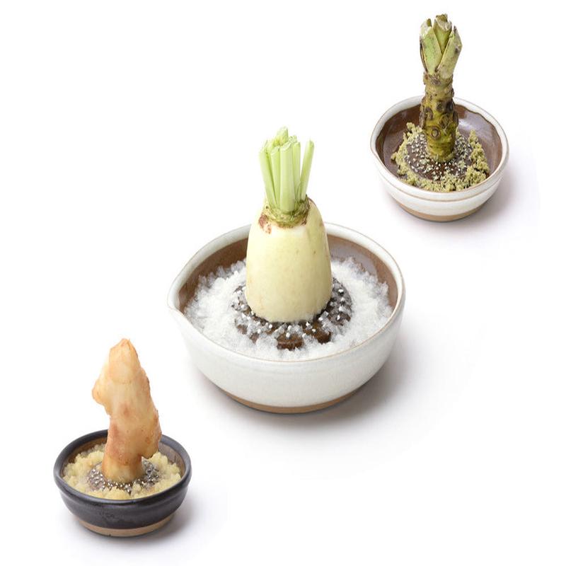 "Suri Plate" Ceramic Grater