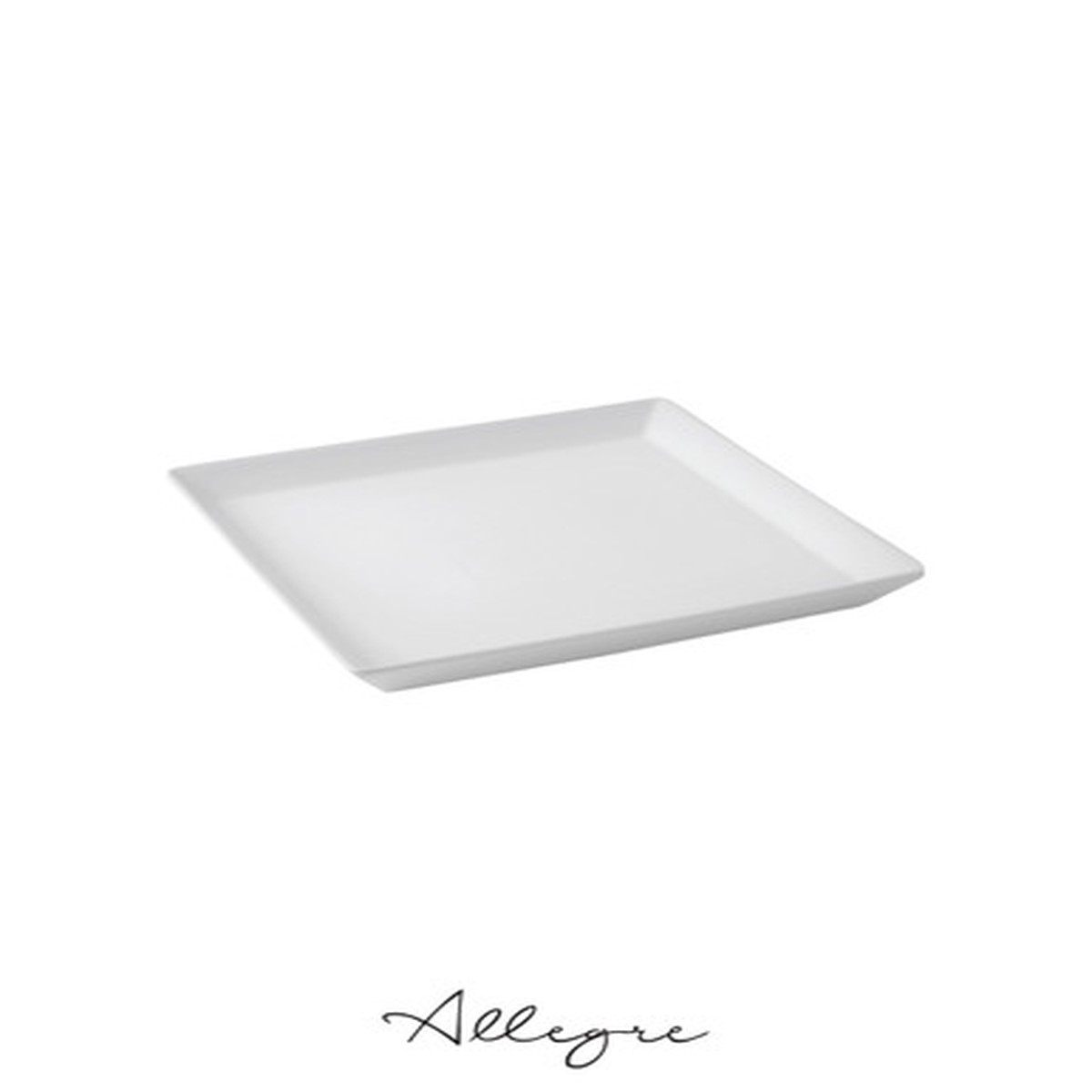 10.6 in. Square Dinner Plate/ Serving Plate for 2 to 3 Persons - Buffet