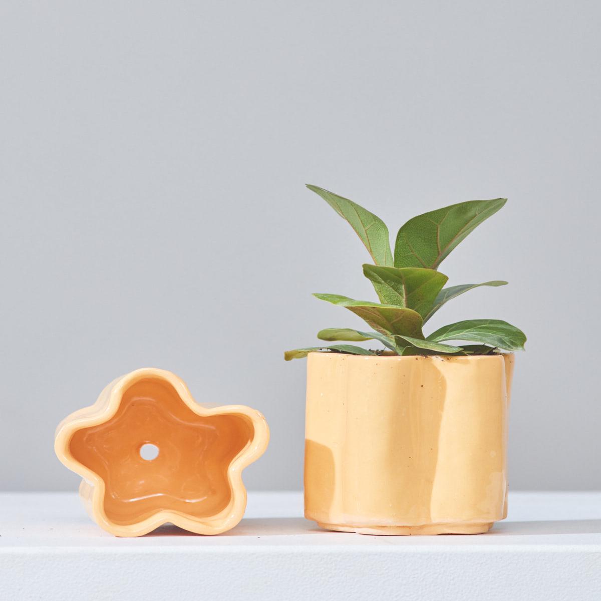 *PRE-ORDER* HIGH NOON ARTIST EDITION PLANTER - TANGERINE, Small 5 Inch